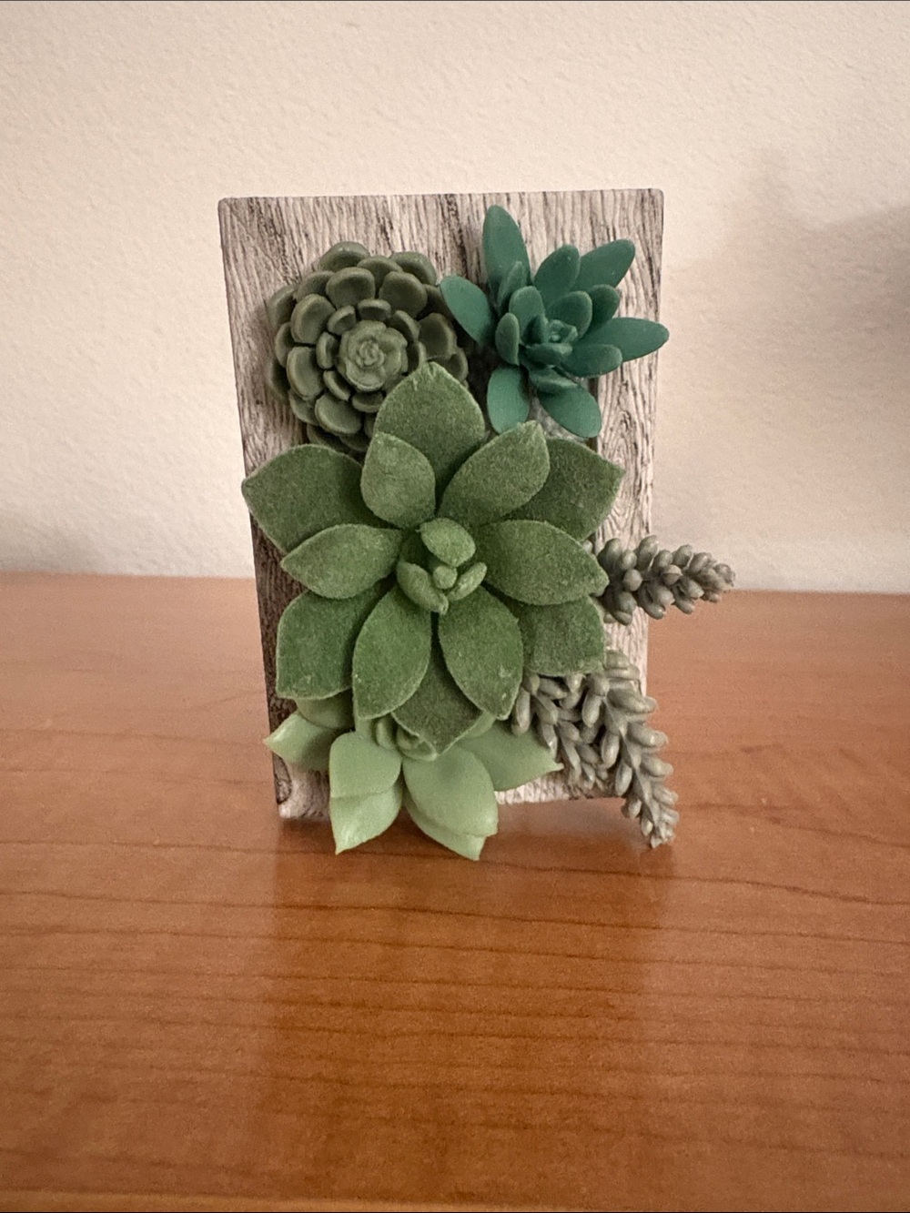 Bath & Body Works Succulent Wallflower Plug